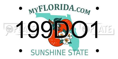 199DO1 Florida License Plate