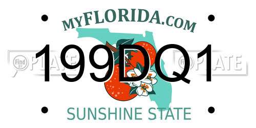 199DQ1 Florida License Plate