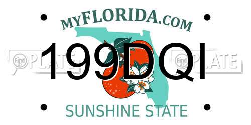 199DQI Florida License Plate