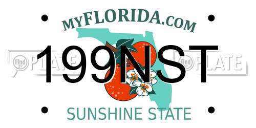 199NST Florida License Plate