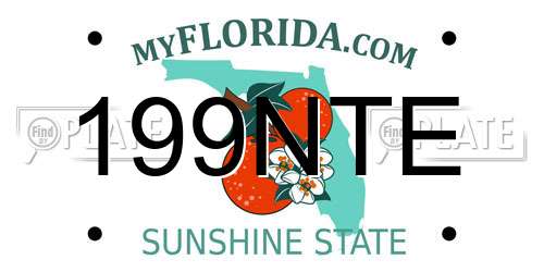 199NTE Florida License Plate
