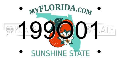199O01 Florida License Plate