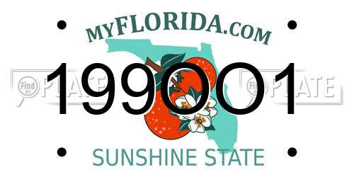 199OO1 Florida License Plate