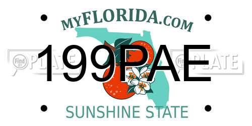 199PAE Florida License Plate