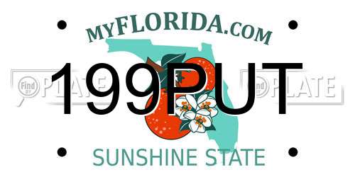 199PUT Florida License Plate