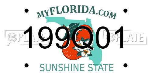 199Q01 Florida License Plate
