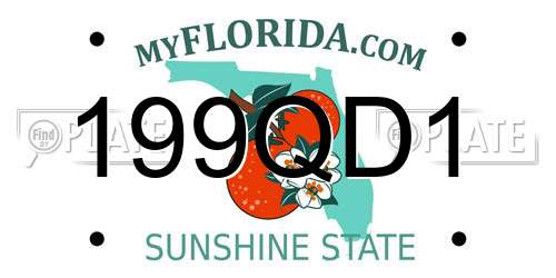 199QD1 Florida License Plate
