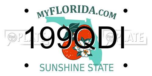 199QDI Florida License Plate