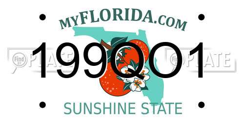 199QO1 Florida License Plate