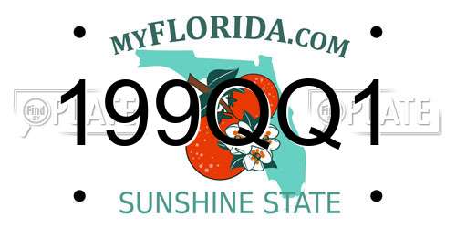 199QQ1 Florida License Plate