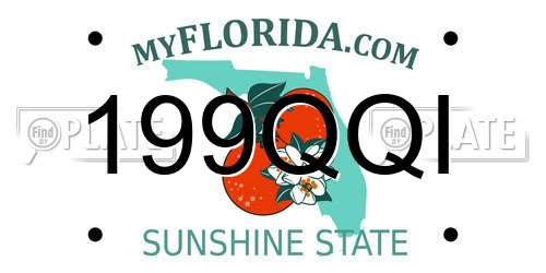 199QQI Florida License Plate
