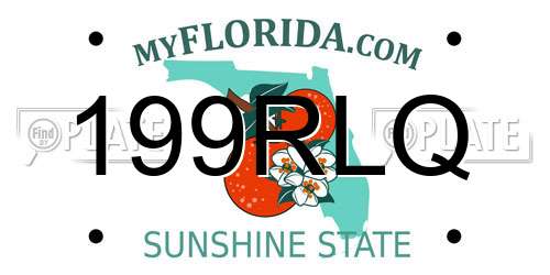 199RLQ Florida License Plate