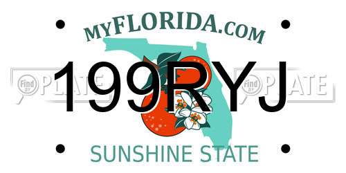 199RYJ Florida License Plate