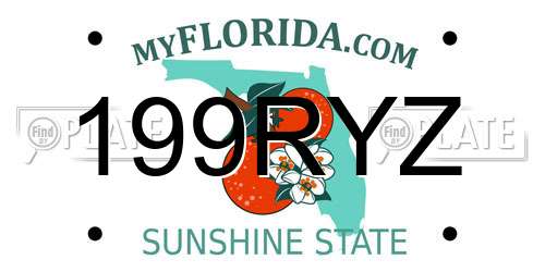 199RYZ Florida License Plate