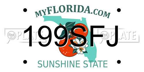 199SFJ Florida License Plate
