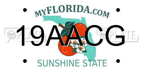 19AACG Florida License Plate