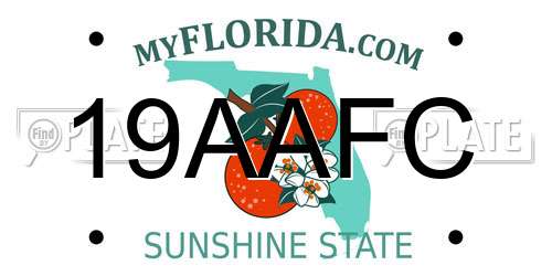 19AAFC Florida License Plate
