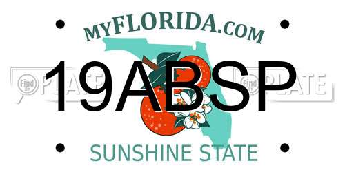19ABSP Florida License Plate
