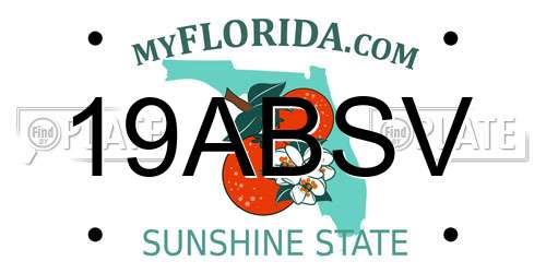 19ABSV Florida License Plate