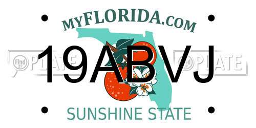 19ABVJ Florida License Plate