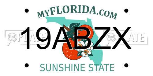 19ABZX Florida License Plate