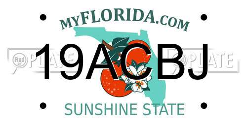19ACBJ Florida License Plate