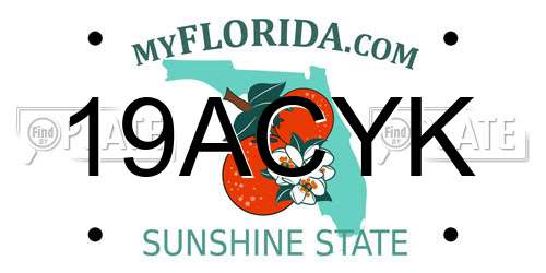 19ACYK Florida License Plate