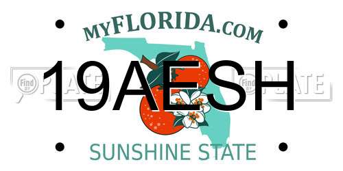 19AESH Florida License Plate
