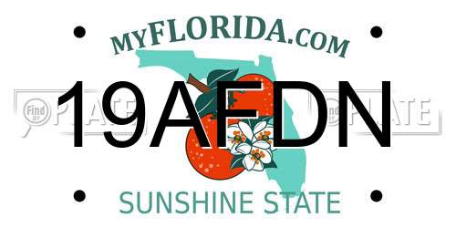 19AFDN Florida License Plate