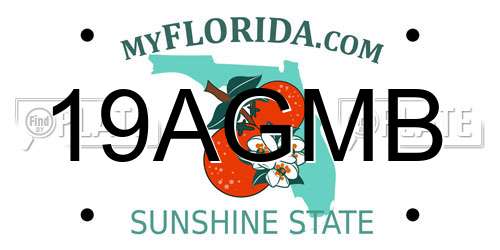 19AGMB Florida License Plate