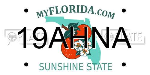 19AHNA Florida License Plate