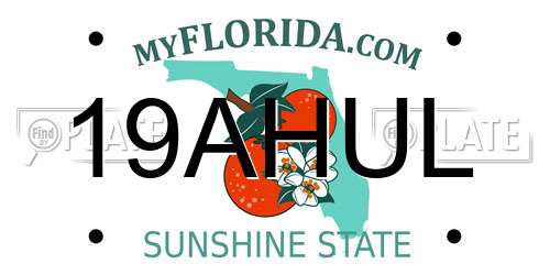 19AHUL Florida License Plate