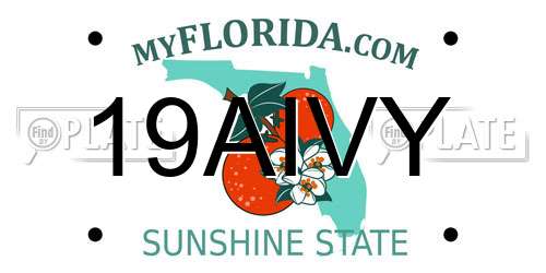 19AIVY Florida License Plate