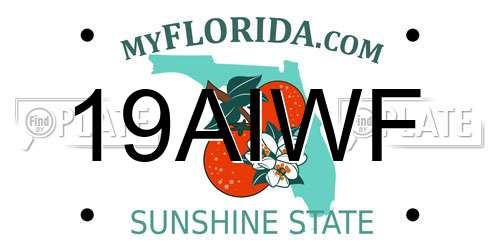 19AIWF Florida License Plate