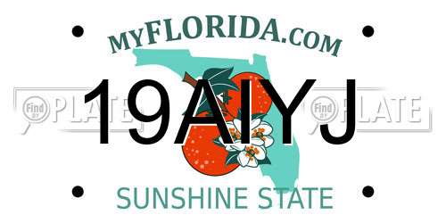 19AIYJ Florida License Plate