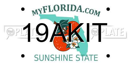 19AKIT Florida License Plate