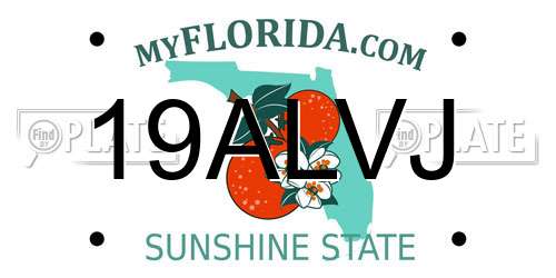 19ALVJ Florida License Plate