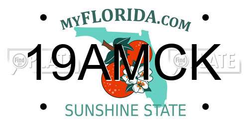 19AMCK Florida License Plate