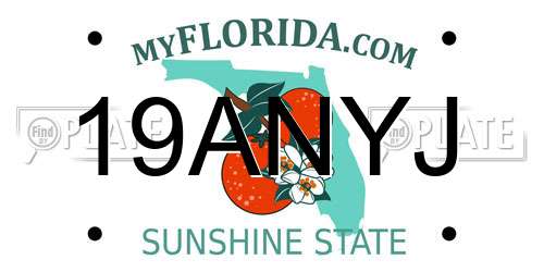 19ANYJ Florida License Plate