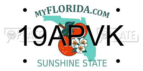 19APVK Florida License Plate