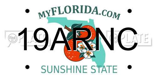 19ARNC Florida License Plate
