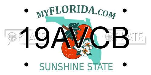 19AVCB Florida License Plate