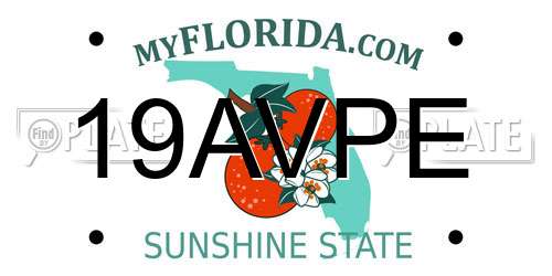 19AVPE Florida License Plate