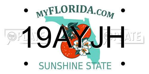 19AYJH Florida License Plate