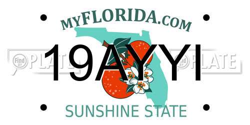19AYYI Florida License Plate