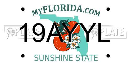 19AYYL Florida License Plate