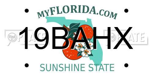 19BAHX Florida License Plate