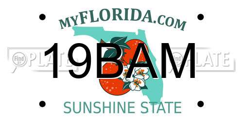 19BAM Florida License Plate
