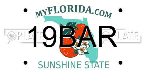 19BAR Florida License Plate