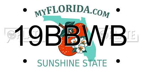 19BBWB Florida License Plate